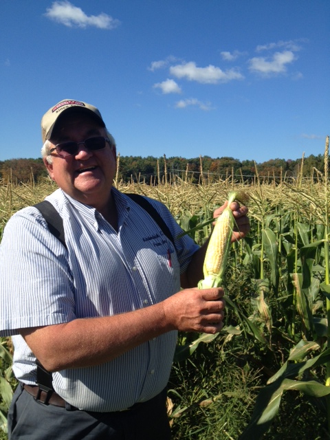 Eckhart corn