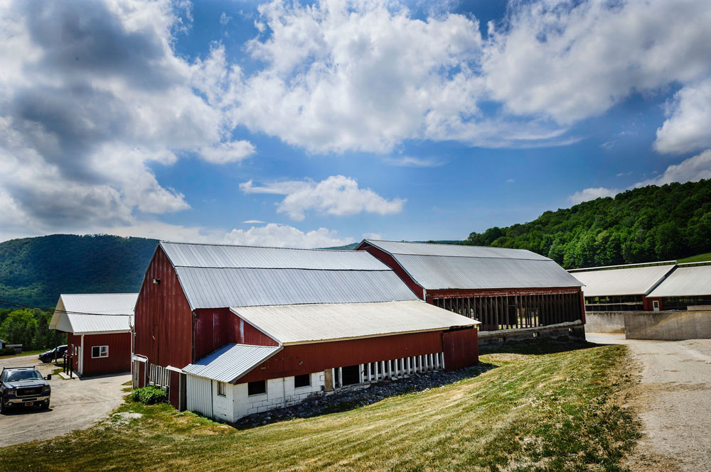 Barn Green