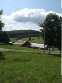 Shushan Valley Hydro Farm