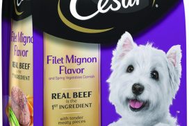 cesardrydogfoodbeef2-7