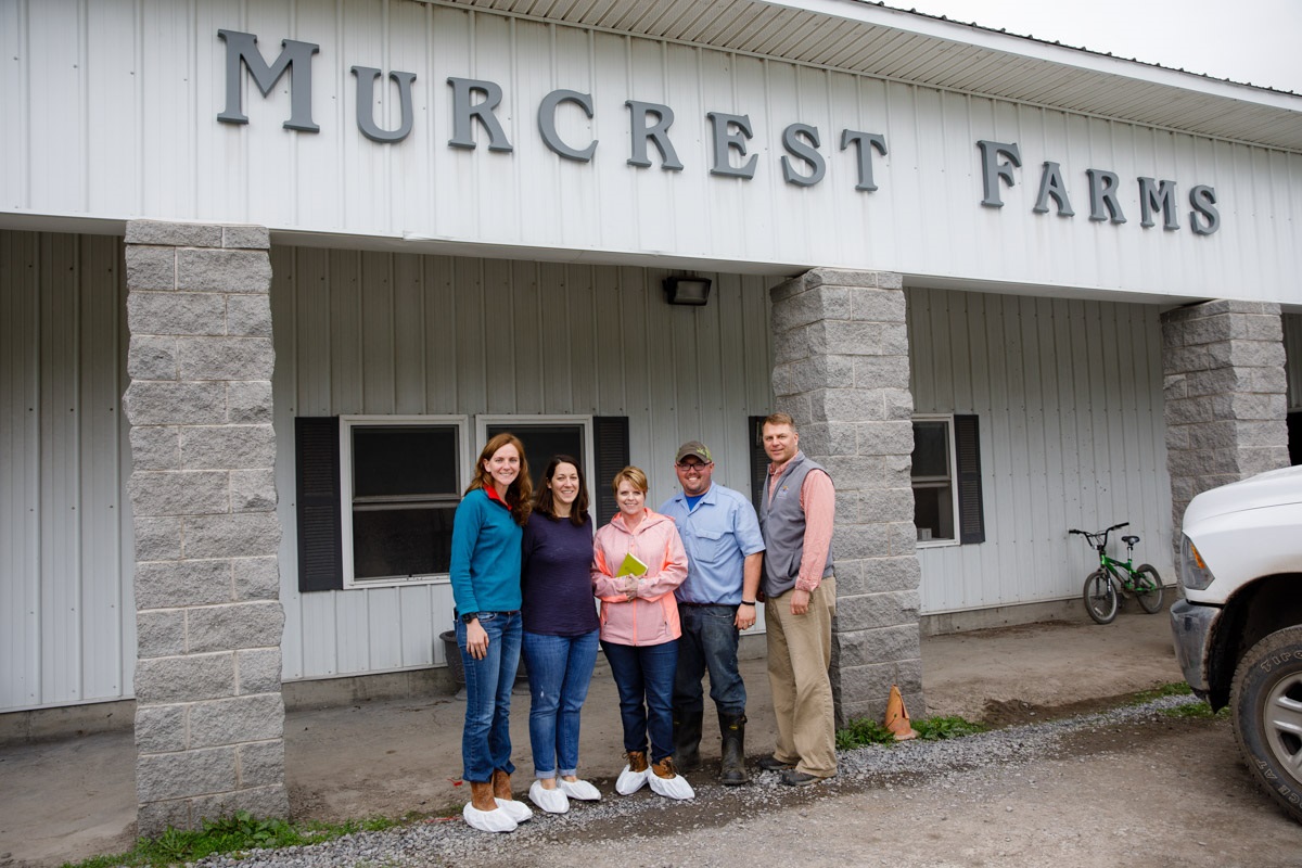 Murcrest