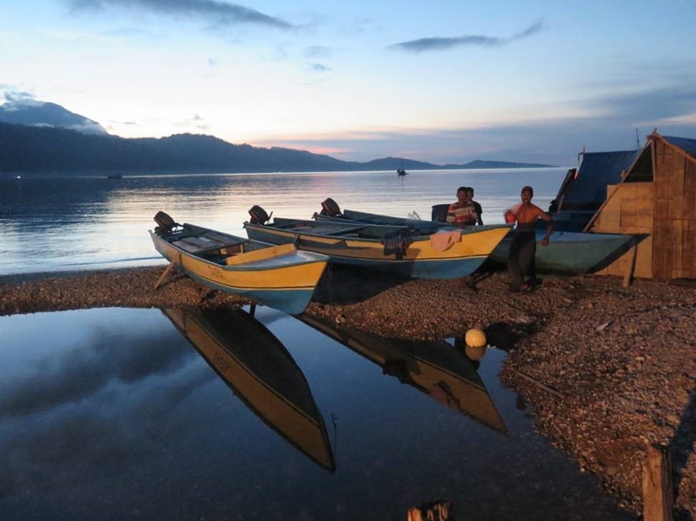 yellowfin boats