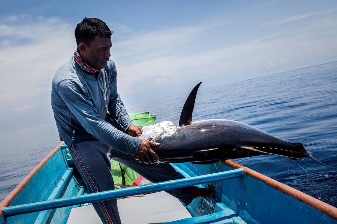 yellowfin tuna fisherman