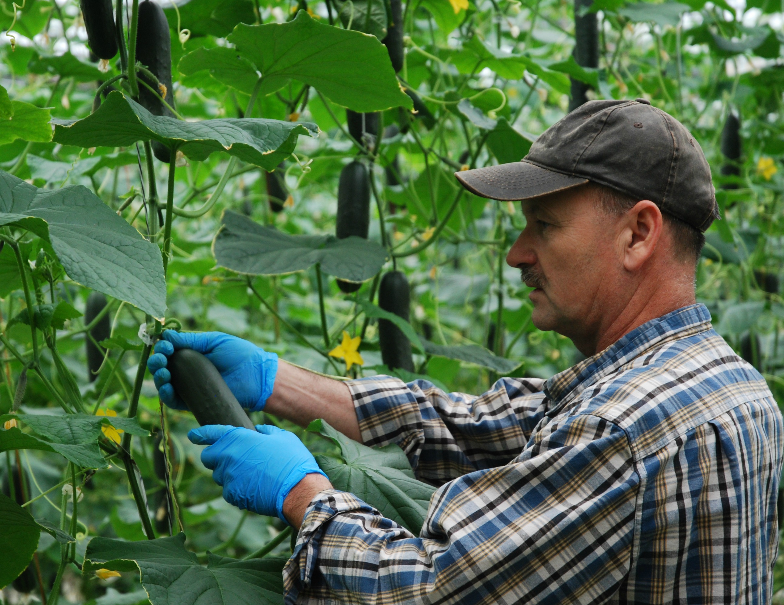 Brightwaters Farms