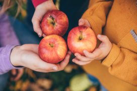 kids in an orchard holding red apples