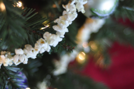 popcorn-string-on-tree